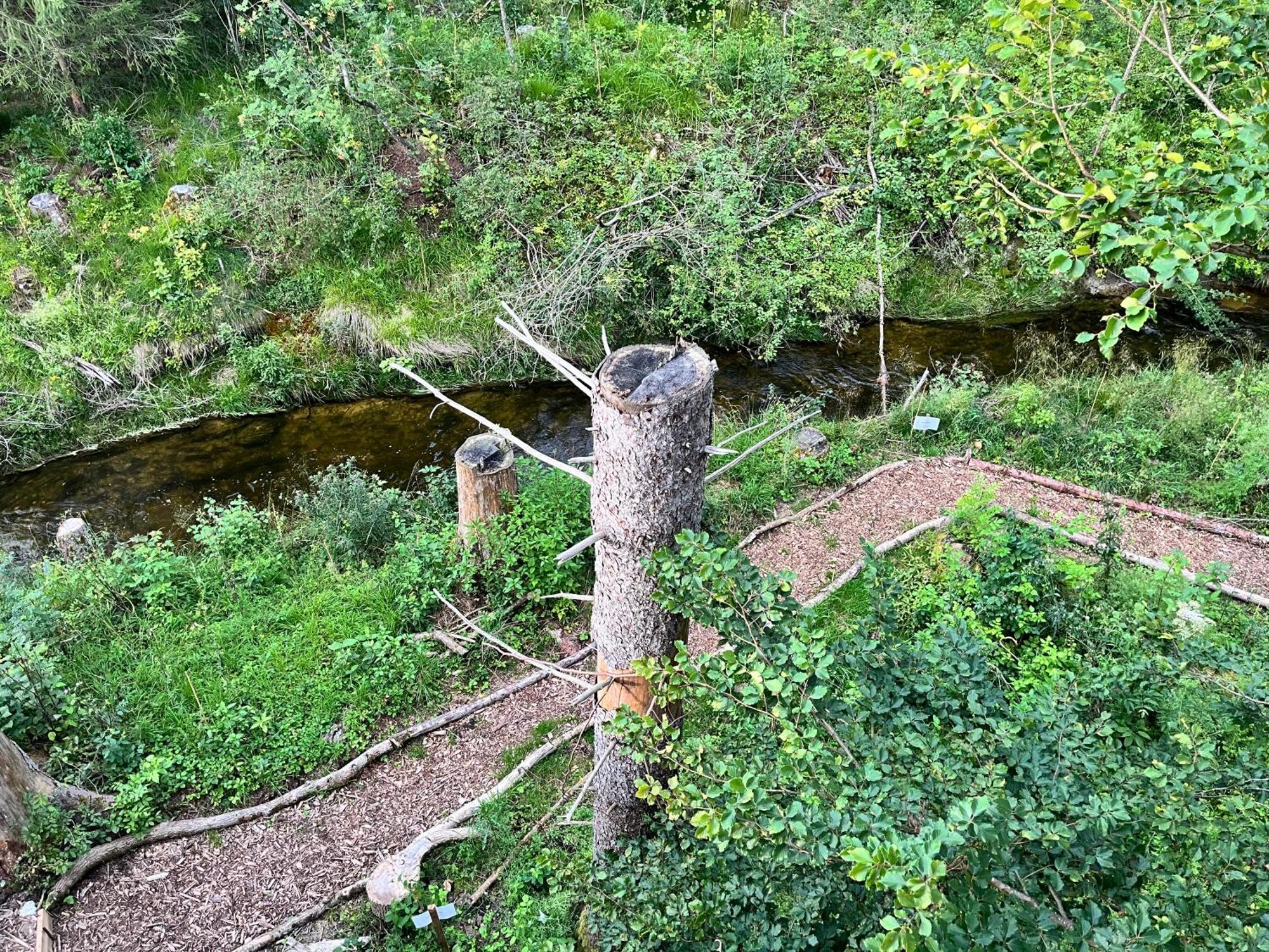 Wald Ist Zukunft Hotel Bernbeuren Eksteriør billede