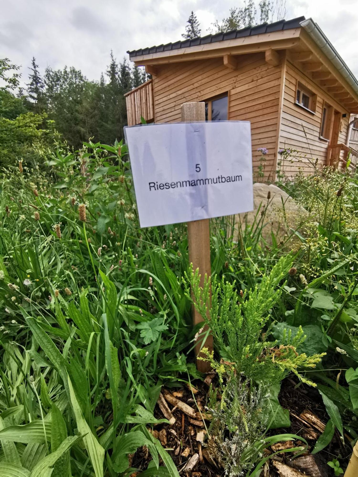 Wald Ist Zukunft Hotel Bernbeuren Eksteriør billede